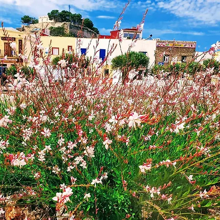 Apartamento Terraza Soleada, Centro 5 Min A Pie, Dos Playas A 150 Metros Denia